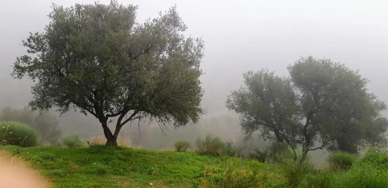 Jardin De Mucho Apartment Macharaviaya Spain
