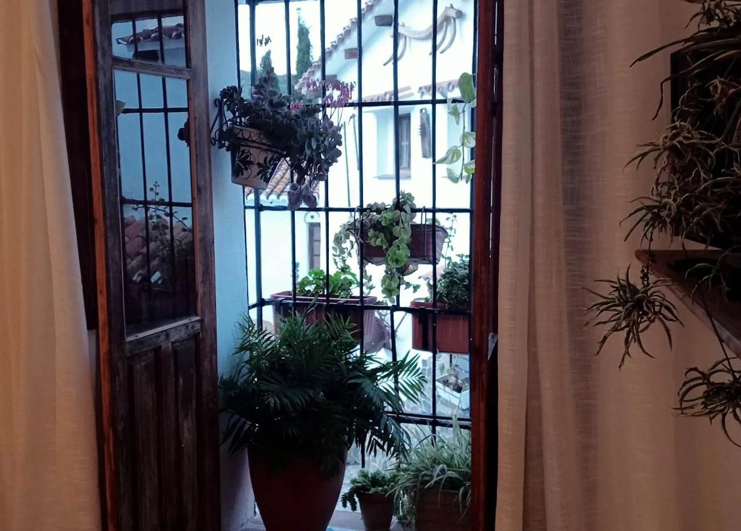 Jardin De Mucho Apartment Macharaviaya 0*,