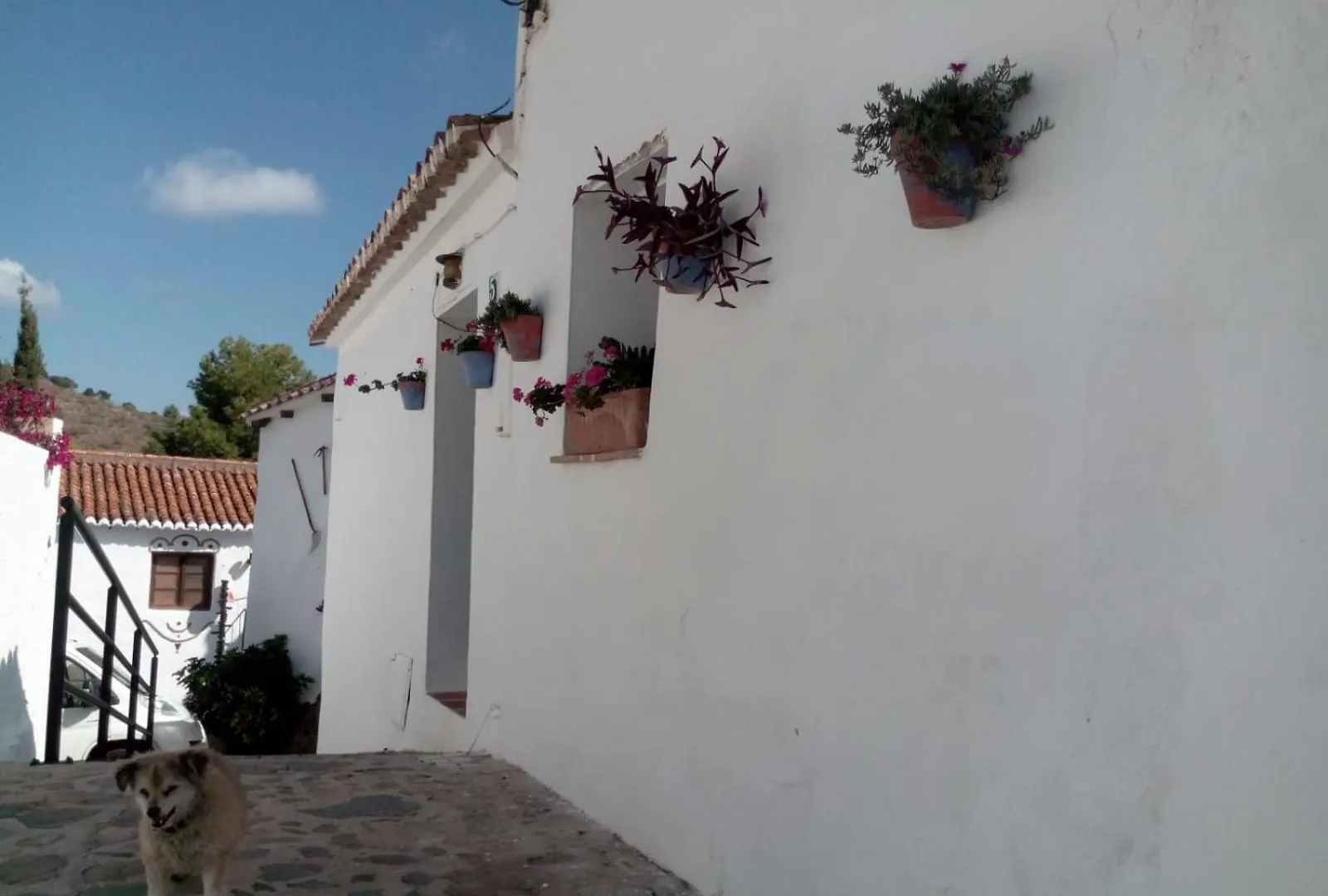 Jardin De Mucho Apartment Macharaviaya